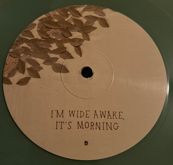 Bright Eyes : I'm Wide Awake, It's Morning (LP, Album, RE, Cle)