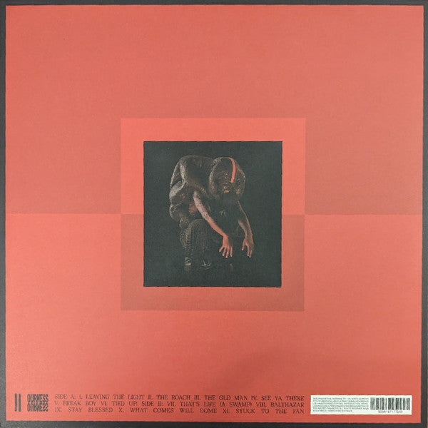 Genesis Owusu : Struggler (LP, Album, Red)