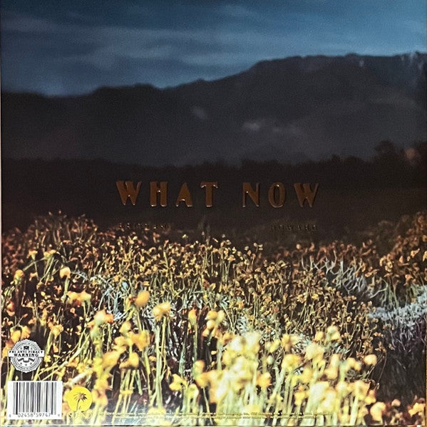 Brittany Howard : What Now (LP, Album)