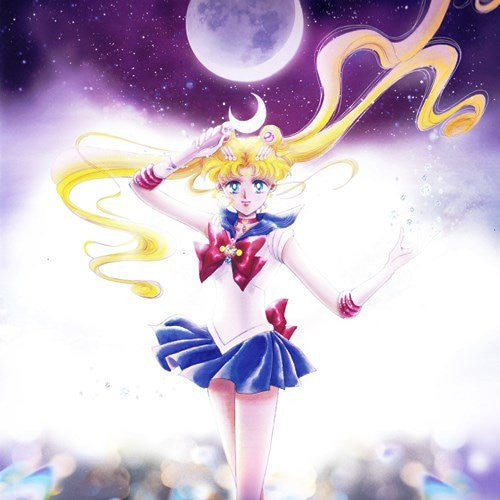 Various : Sailor Moon The 20th Anniversary Memorial Tribute (5x7", Single, Ltd, Box)