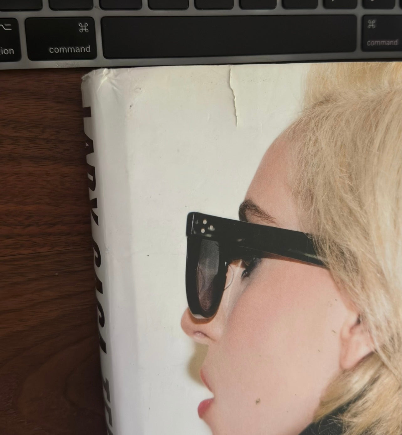 Lady Gaga x Terry Richardson Photography Book