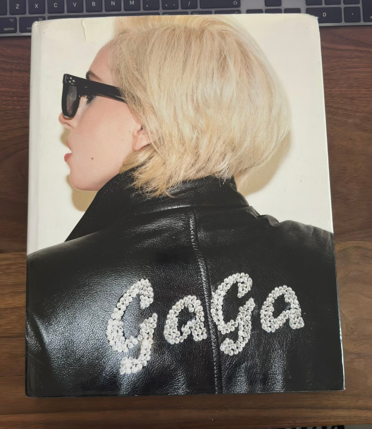 Lady Gaga x Terry Richardson Photography Book