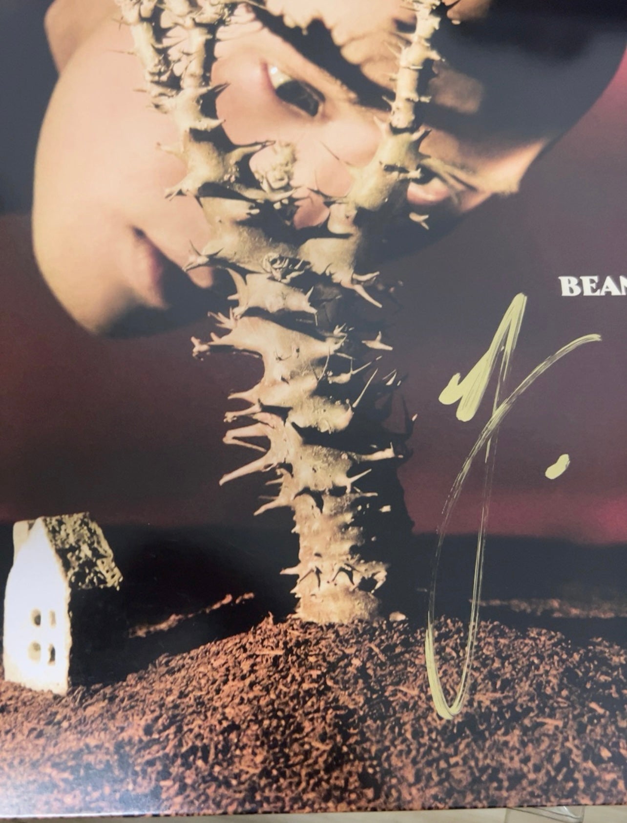 BEANSTALK YELLOW Signed Vinyl