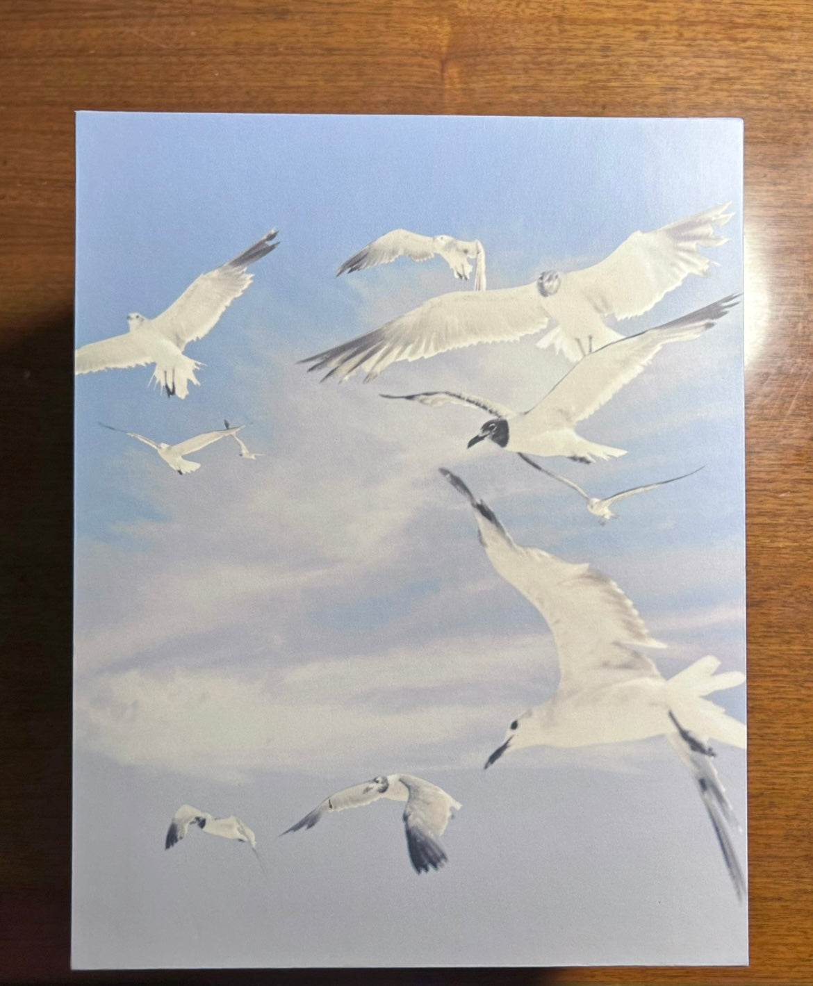 Taylor_Swift_1989_Seagull_Box_Set