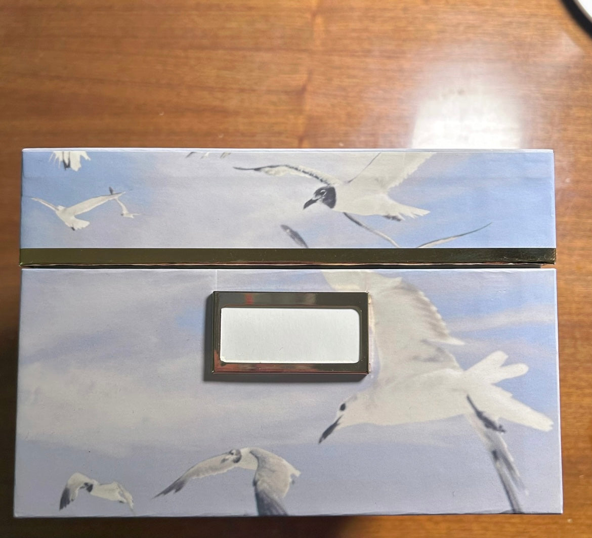 Taylor_Swift_1989_Seagull_Box_Set