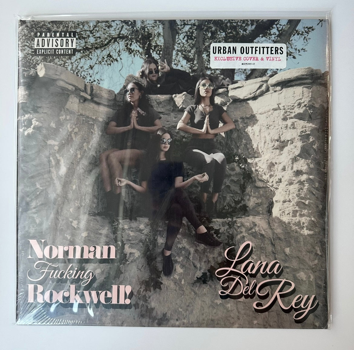 NFR_Pink_Vinyl_Lana_Del_Rey_Norman_Fucking_Rockwell_2LP