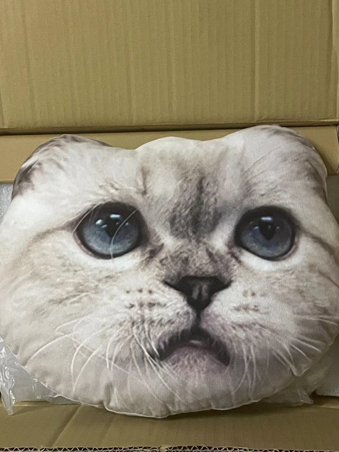 Taylor Swift - Lover edition cat pillow, Olivia Benson & Meredith Grey limited edition
泰勒絲 - Lover版本貓咪抱枕，Olivia Benson與Meredith Grey限量版