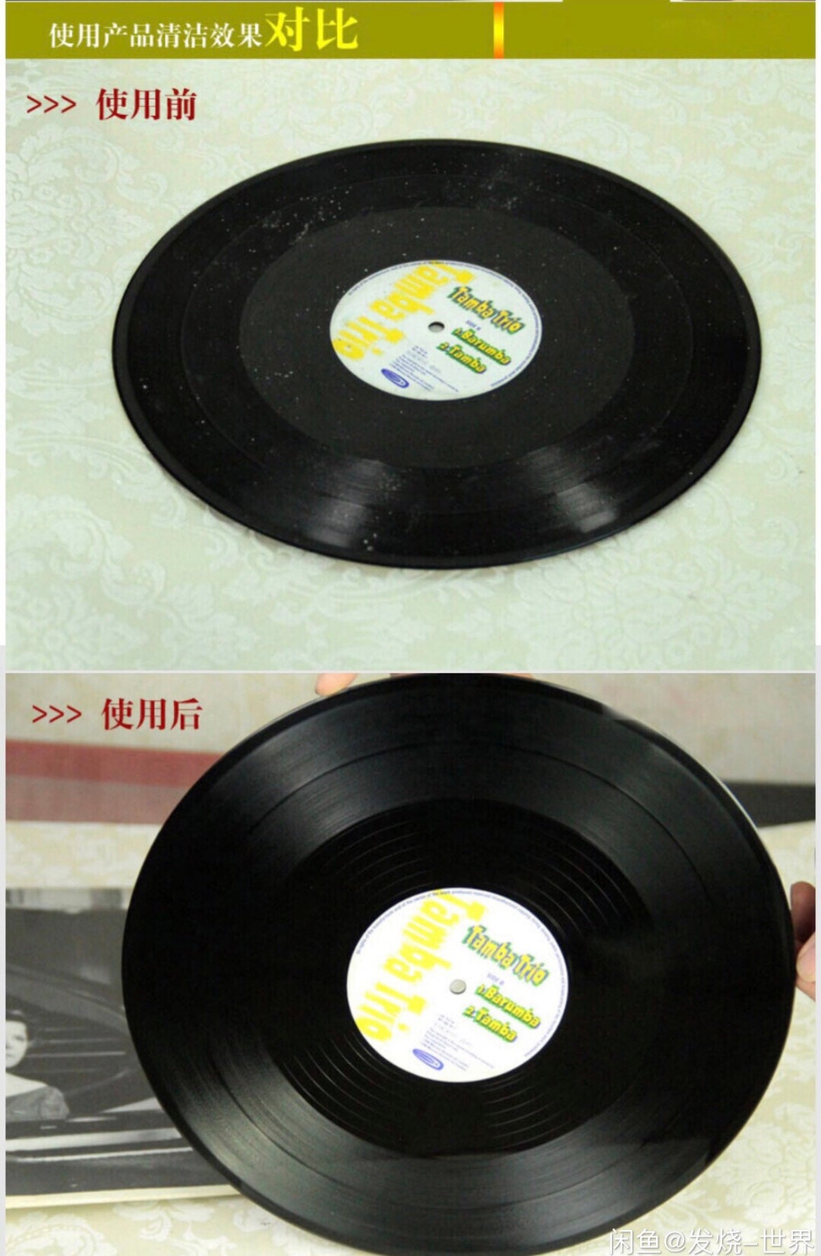 Vinyl Record Cleaning Kit with LP Brush and Needle Brush