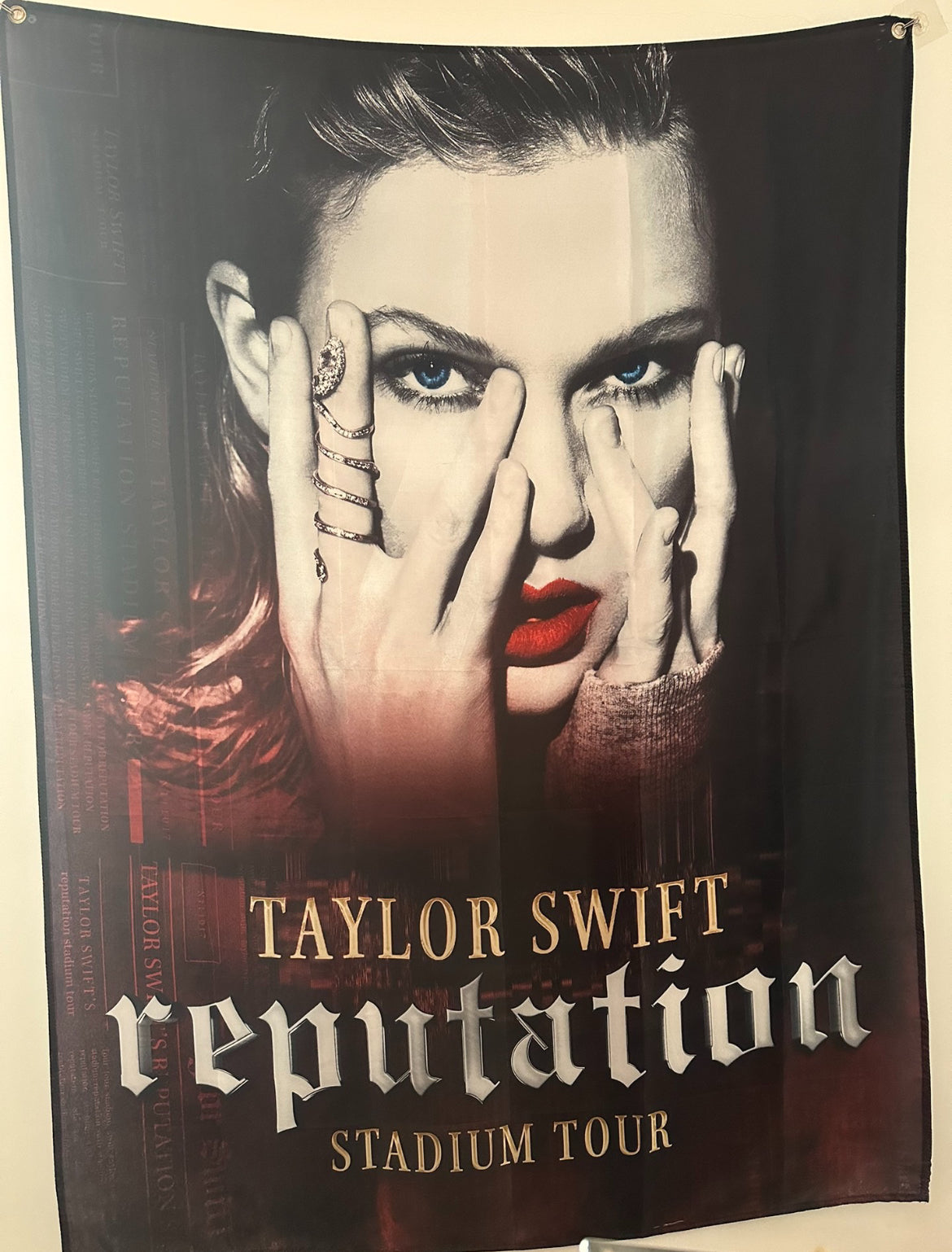 Taylor Swift Reputation Stadium Tour Flag 泰勒斯威夫特 Reputation 體育場巡回賽旗帜