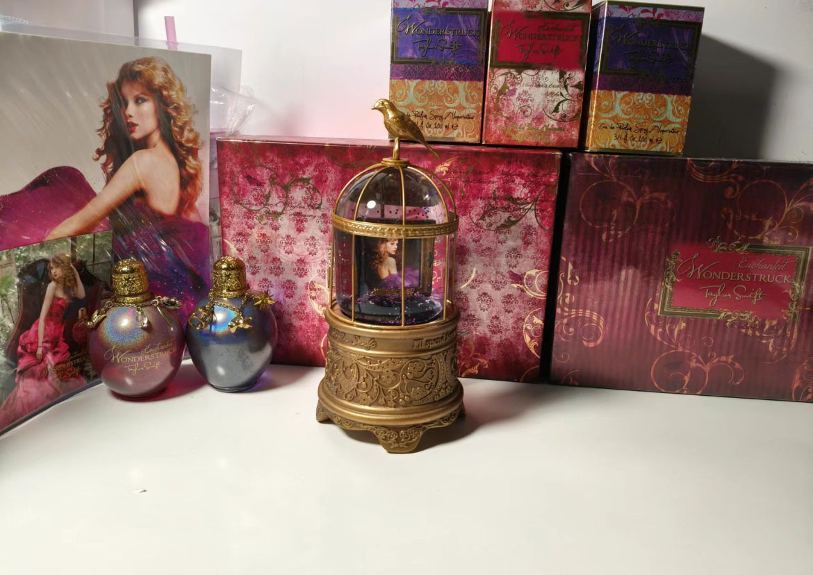 Taylor Swift Snow Globe, Official Merchandise  泰勒斯威夫特水晶球，官方周邊