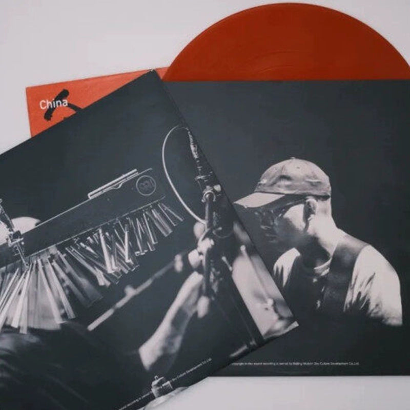 The Youth of the Day Limited 2LP Red Glue 12-inch rock vinyl album  官方正版 痛仰乐队专辑 今日青年 限量2LP红胶 12寸摇滚黑胶大碟