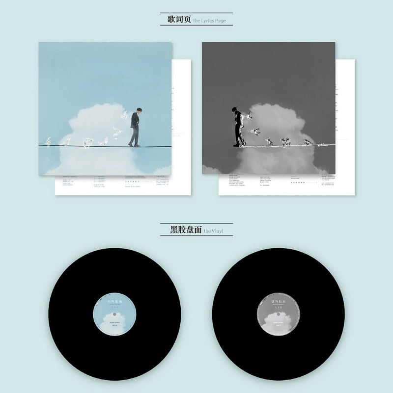 Hairy Baby Bird Guide 2LP vinyl bulk physical album peripheral gramophone dedicated  正版唱片 毛不易 幼鸟指南 2LP黑胶大碟 实体专辑周边 留声机专用