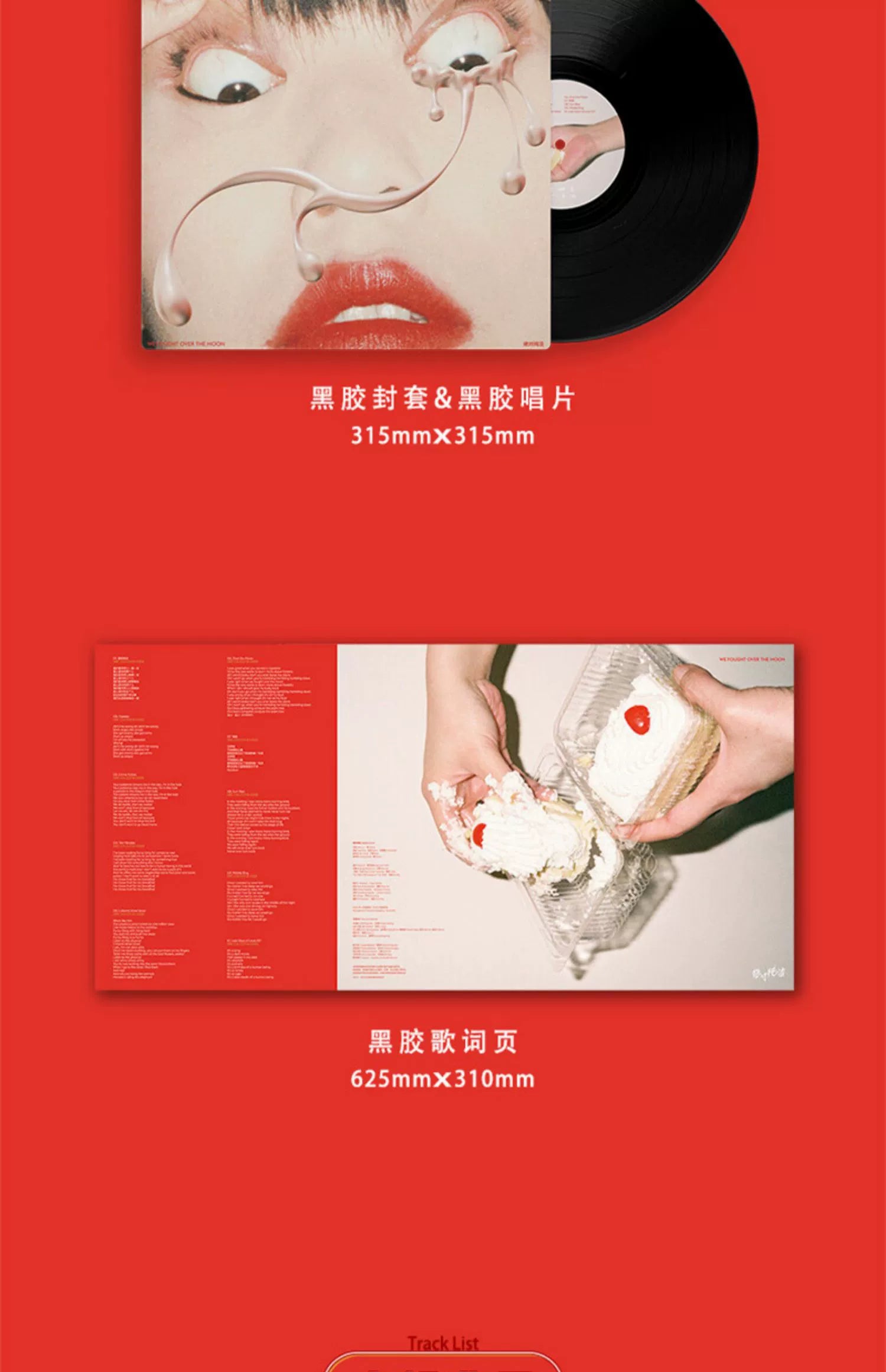 Absolute purity We Fought Over The Moon alternative music LP vinyl album  正版唱片 绝对纯洁 We Fought Over The Moon 另类音乐LP黑胶大碟