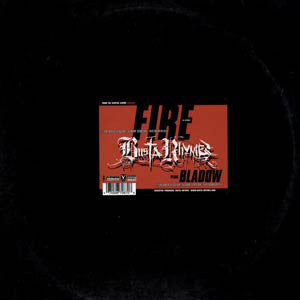 Busta Rhymes : Fire / Bladow (12")