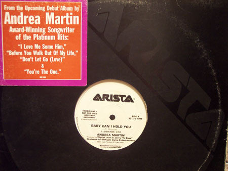 Andrea Martin : Baby Can I Hold You (12", Promo)