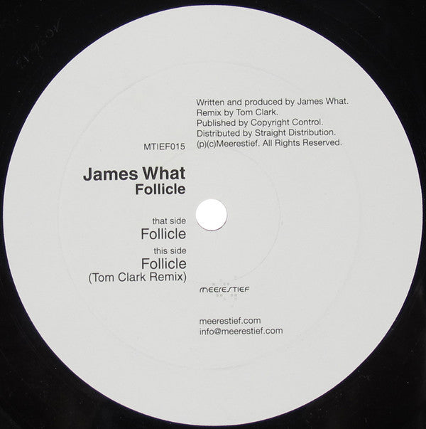 James What : Follicle (12")