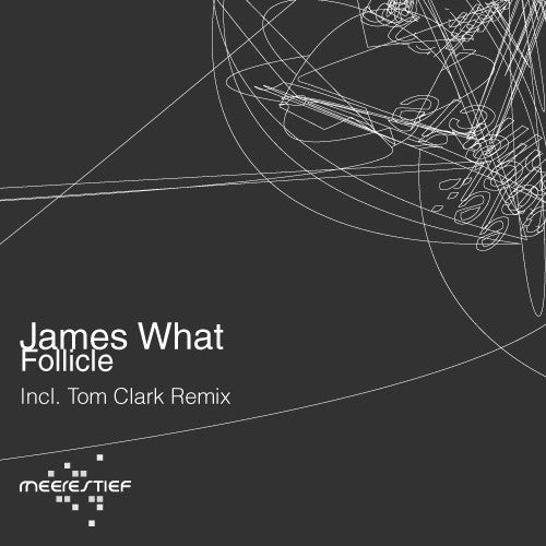 James What : Follicle (12")