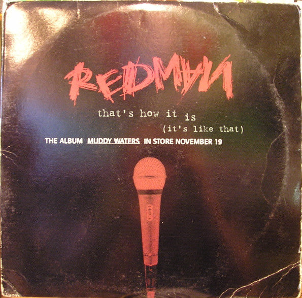 Redman : That's How It Is (It's Like That) (12", Promo)