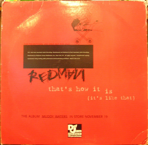 Redman : That's How It Is (It's Like That) (12", Promo)