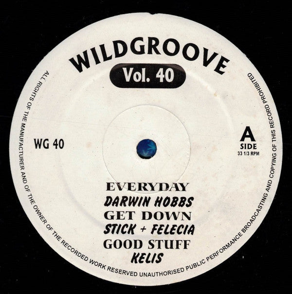 Various : Wildgroove Vol. 40 (12")