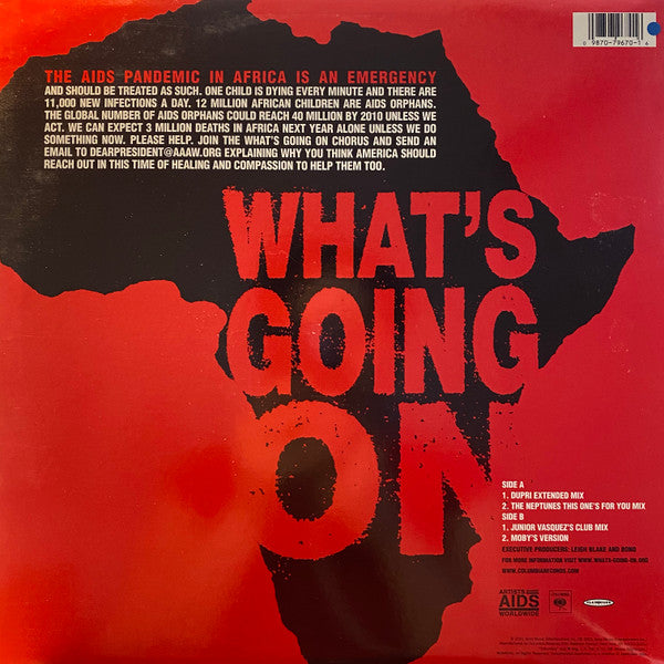 Artists Against AIDS Worldwide : What's Going On (12")