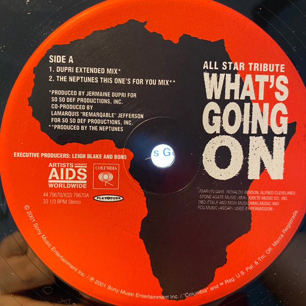 Artists Against AIDS Worldwide : What's Going On (12")