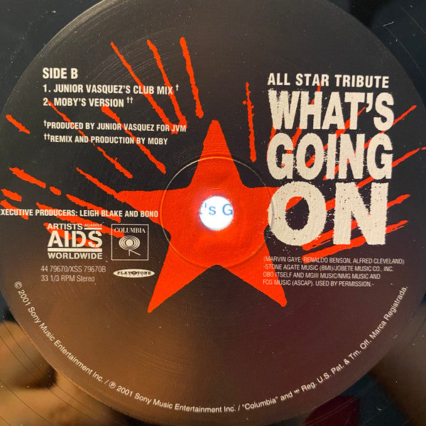 Artists Against AIDS Worldwide : What's Going On (12")