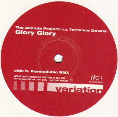 The Ananda Project Feat. Terrance Downs : Glory Glory (12", Promo)