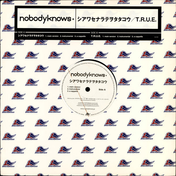 Nobodyknows+ : シアワセナラテヲタタコウ/ T.R.U.E. (12")