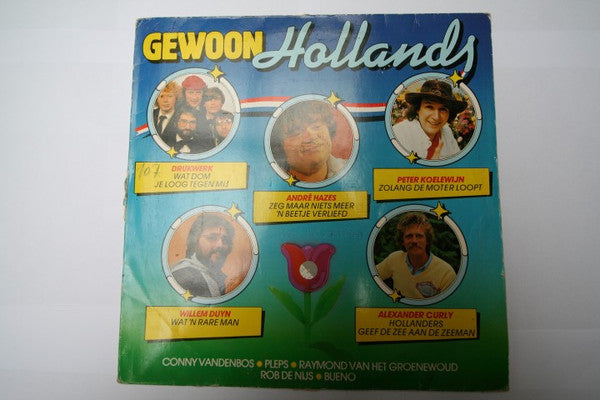 Various : Gewoon Hollands (LP, Comp)