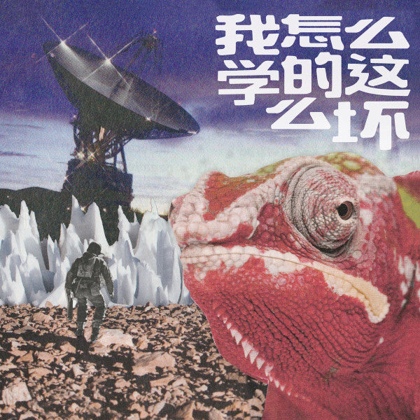 Dirty Fingers (10) : 我怎么学的这么坏 (CD, Album)