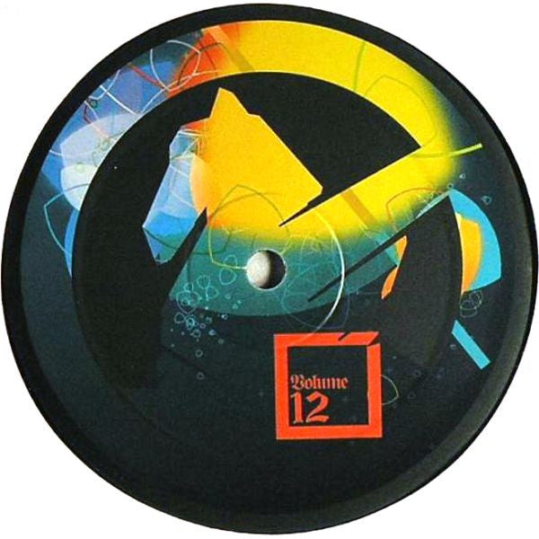 Sinisa Tamamovic : Volume 12 (12")