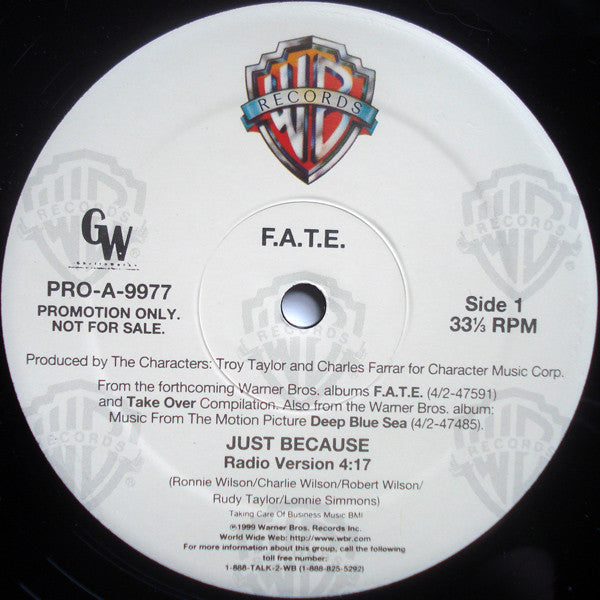 F.A.T.E. : Just Because (12", Promo)