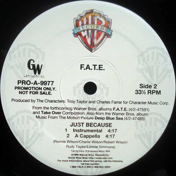 F.A.T.E. : Just Because (12", Promo)