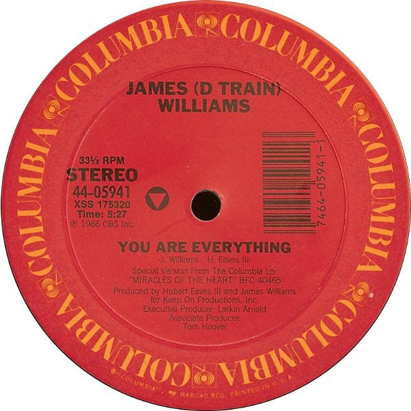 James "D-Train" Williams : You Are Everything (12")