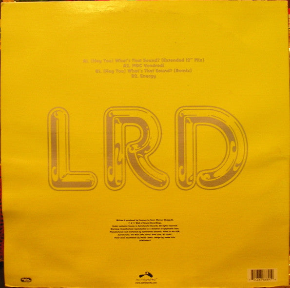 Les Rythmes Digitales : (Hey You) What's That Sound? (12")