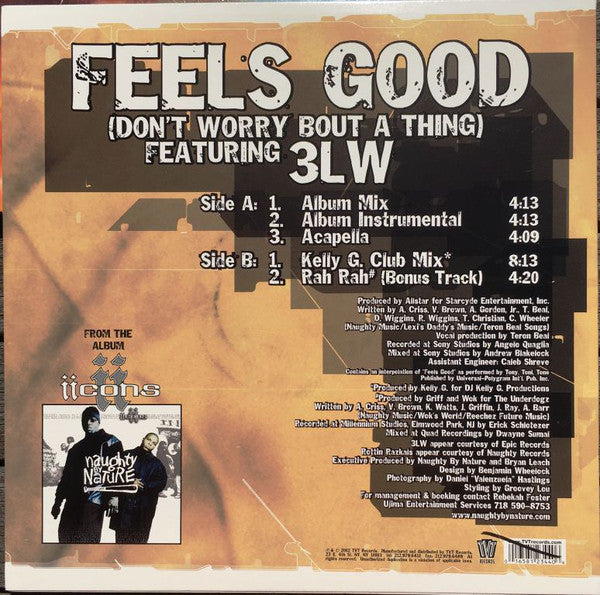 Naughty By Nature Featuring 3LW : Feels Good (Don't Worry Bout A Thing) (12")