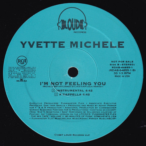 Yvette Michele : I'm Not Feeling You (12", Promo)