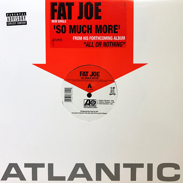 Fat Joe : So Much More (12", Single)