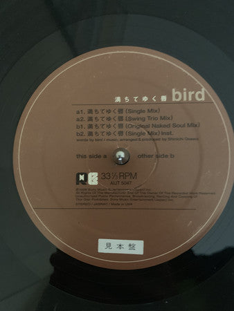 Bird : 満ちてゆく唇 (12")