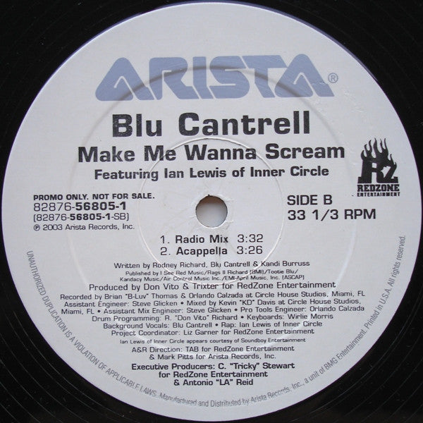 Blu Cantrell Featuring Ian Lewis : Make Me Wanna Scream (12", Promo)