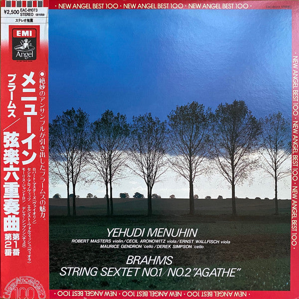 Johannes Brahms : Yehudi Menuhin • Robert Masters (2) • Cecil Aronowitz • Ernst Wallfisch • Maurice Gendron • Derek Simpson : String Sextets 1 & 2 (LP)