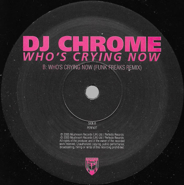 DJ Chrome : Who's Crying Now (12")