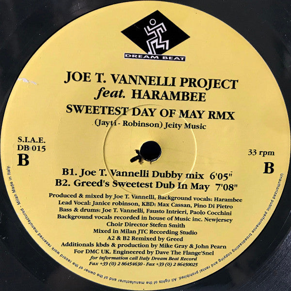 Joe T. Vannelli Project Feat. Harambee : Sweetest Day Of May RMX (12")