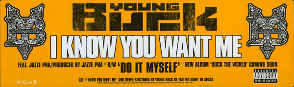 Young Buck : I Know You Want Me / Do It Myself (12", Promo)