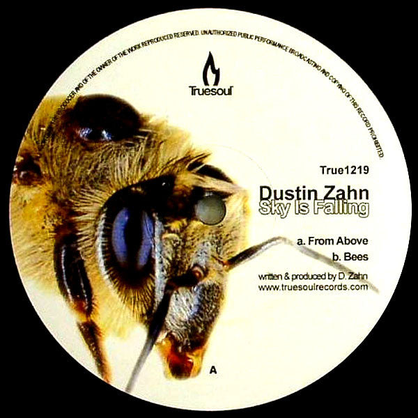 Dustin Zahn : Sky Is Falling (12")