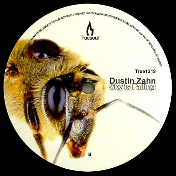 Dustin Zahn : Sky Is Falling (12")