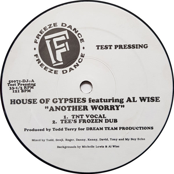 House Of Gypsies Featuring Al Wise : Another Worry (12", TP)