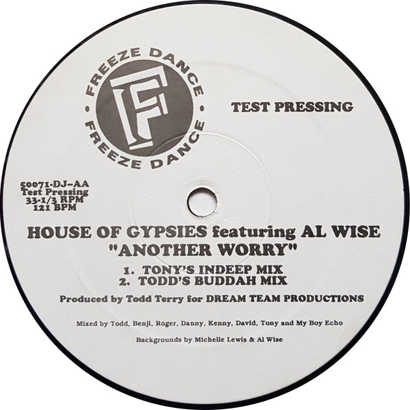 House Of Gypsies Featuring Al Wise : Another Worry (12", TP)