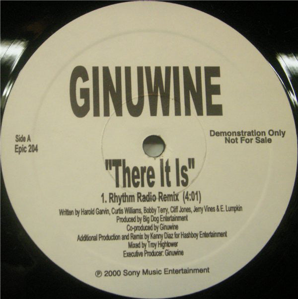 Ginuwine : There It Is (12", Promo)